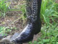 /album/fotogaleria-novedades/a11053118-860310470721789-5430969717393695042-o-jpg/