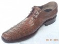 /album/fotogaleria-novedades/a11816374-877748035644699-1113369289439616147-o-jpg1/